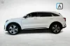 KIA Sorento 1,6 T-GDI Hybrid 2WD Business AT *Navi / Adapt.vakkari* Thumbnail 5